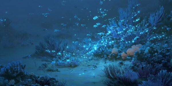 sea